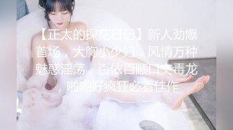 另一只巨乳骚母狗，嘴上说着不要下面却流了很多水