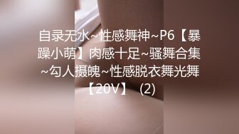 【绝版资源】超高气质华人腿模「女神丝丝」「sexy.coco」OF私拍 黑丝美腿蜂腰【第三弹】 (3)