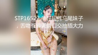 超人气网红鼻祖-王一霏 3P啪啪、福利自慰及微信1V1年度集 (1)