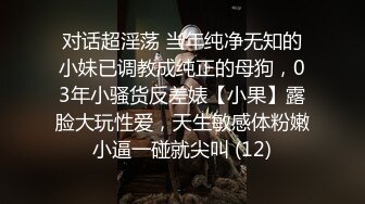 48時間耐久連続巨根アクメ 加藤ほのか