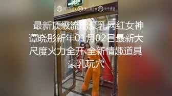 后入骚逼母狗