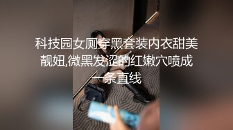 MeeHuTao米胡桃 乖巧听话的黑丝女仆