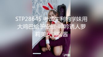 麻豆导演系列 女室友的性癖好