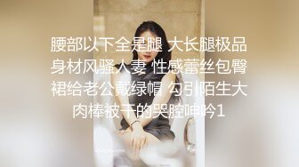 《极品CP☀️魔手☛外购》美女如云热闹商场全景偸拍~女厕各种大屁股小姐姐方便~好多气质小姐姐撅着大腚哗哗尿量充足 (13)