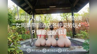 《极品反差婊秘泄密》某航空公司高颜拜金空姐不健康私拍~飞机上是高素质温文尔雅的女神私下里成为金主的母狗~无底线各种调教