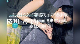 歌厅约啪开拓者【歌厅探花陈先生】嗨曲后女神范长腿公主小姐姐主动脱衣服侍 激战爆操沙发震