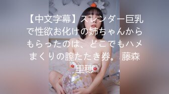 【中文字幕】スレンダー巨乳で性欲お化けの姉ちゃんからもらったのは、どこでもハメまくりの膣たたき券。 藤森里穂