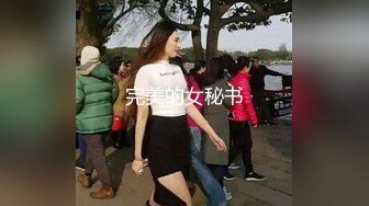 完美的女秘书