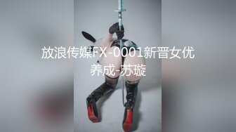 放浪传媒FX-0001新晋女优养成-苏璇