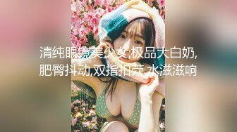 我的大胸前女友2