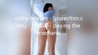 cathy heaven - [purecfnm.com] - [2014] - paying the mechanic