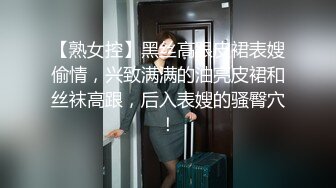 【熟女控】黑丝高跟皮裙表嫂偷情，兴致满满的油亮皮裙和丝袜高跟，后入表嫂的骚臀穴！