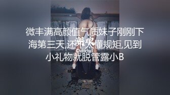 微丰满高颜值气质妹子刚刚下海第三天,还不太懂规矩,见到小礼物就脱管露小B