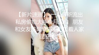 绿奴绿奴别调皮，赔了夫人又折鸡