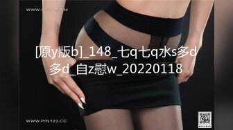 阿朱内部私购 NO.025 女仆与猫