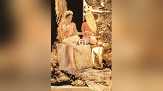 极品女神猎杀者『广州飞机哥』封装版甄选 约操巨乳花臂女神 众女神沦陷