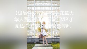 【极品性爱淫乱群交】加拿大华人圈『索菲娅』最新VIP订阅私拍③多对夫妻聚众淫乱 淫乱趴乱交 (6)