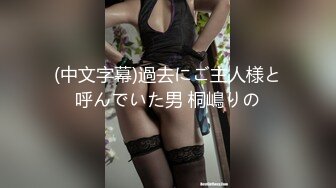 JBD-183 奴隷調教 請負人 樹花凜