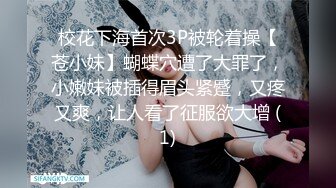 巨乳肥臀【奶咪Nami】2023年7月最新VIP订阅，视图自慰视图福利，翻白眼吐舌头自慰 乳夹抖动巨乳 炮机抽插自慰 (2)