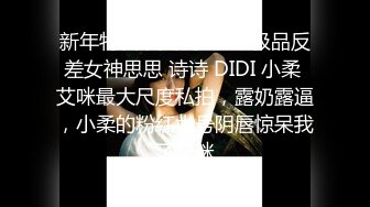 新年特辑，人气PANS极品反差女神思思 诗诗 DIDI 小柔 艾咪最大尺度私拍，露奶露逼，小柔的粉红大号阴唇惊呆我了艾咪