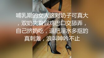 【新片速遞】性感妩媚风骚撩人的哺乳期奶妈激情大秀，全程露脸丝袜情趣装诱惑，大奶子一碰就出奶子，大号鸡巴抽插骚穴[1.37G/MP4/01:58:01]