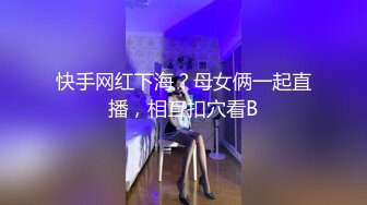 Al&mdash;凑崎纱夏 性感完美身材