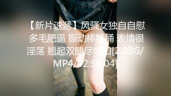 MD-0273 娃诺 淫浪女仆失职欠教育 下跪羞辱强制调教 麻豆传媒映画