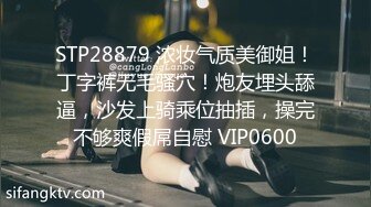 STP31137 国产AV 起点传媒 性视界传媒 XSJTC09 淫欲梦中情人 娃娃