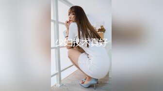 GDCM-035.莉娜.伪装者代号91.上集.果冻传媒