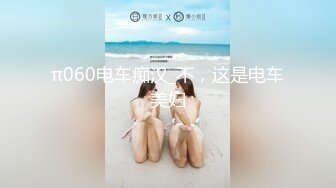 π060电车痴汉_不，这是电车美妇