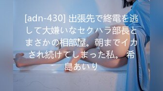 [adn-430] 出張先で終電を逃して大嫌いなセクハラ部長とまさかの相部屋。朝までイカされ続けてしまった私。 希島あいり