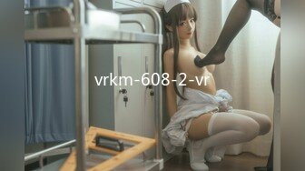 vrkm-608-2-vr