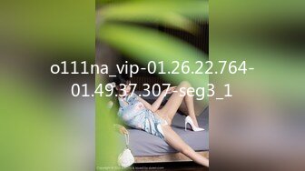 o111na_vip-01.26.22.764-01.49.37.307-seg3_1