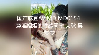 国产麻豆AV MD MD0154 意淫姐姐的性感闺蜜 艾秋 吴梦梦