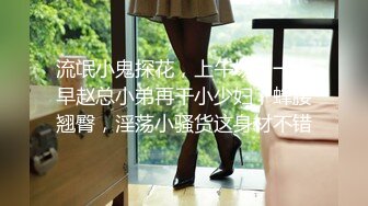 婚期を逃した男の幸福（しあわせ） 晩婚夫とあどけない若妻