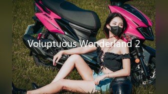 Voluptuous Wonderland 2