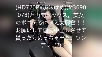 (HD720P)(趣味はめ)(fc3690078)と再開セックス。美女のポニテ姿に萌え大興奮！！お願いして連続中出しさせて貰ったらめっちゃ出た。ツンデレ  (2)