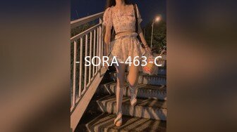 - SORA-463-C