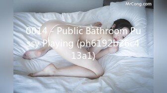 0014 - Public Bathroom Pussy Playing (ph6192b26c413a1)