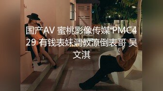 国产AV 蜜桃影像传媒 PMC429 有钱表妹调教潦倒表哥 吴文淇