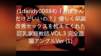 (1dandy00884)「おばさんだけどいいの？」優しく早漏改善セックスを教えてくれた巨乳家庭教師 VOL.3 完全盗撮アングルVer (1)