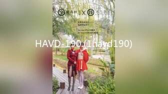 HAVD-190.(1havd190)