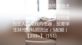 [2DF2]美女和男友性爱视频流出 没想到床上这么风骚 被打桩机式爆操_ [BT种子]