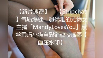 【新片速遞】  ✨【Stripchat】气质爆棚！超优雅的尤物女主播「MandyLovesYou」黑丝乖巧小猫自慰销魂咬嘴唇【自压水印】