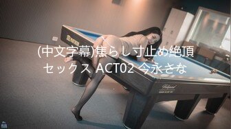 (中文字幕)焦らし寸止め絶頂セックス ACT02 今永さな